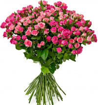 Кустовые розовые розы